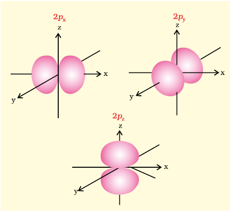 NCERT Section