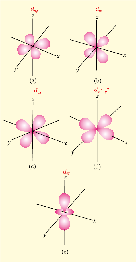 Ncert Section