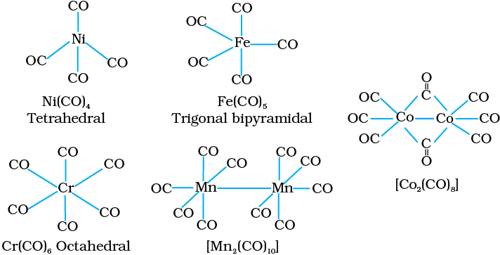 NCERT Section