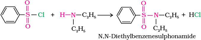 NCERT Section